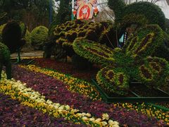 -溱湖国家湿地公园