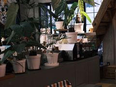-nodcafe(M50创意园店)