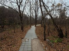 -茅兰沟国家森林公园