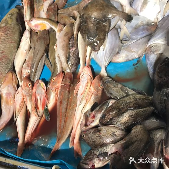 温州蜀人家