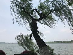 -浙江西子宾馆·瑶园咖啡厅