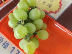 -马陆小张葡萄园农家乐