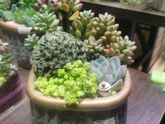 -扶光书店(中环店)