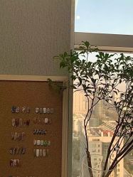 -MOMO·Nail美甲美睫