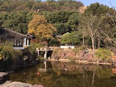 -灵岩山风景区