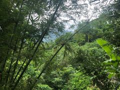 -七仙岭君澜度假酒店·桃源小馆中餐厅