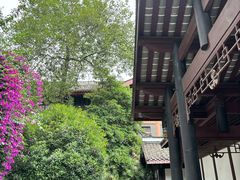 -青羊宫