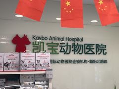 -悦宠凯宝动物医院·牙科·皮肤科(朝阳北路店)