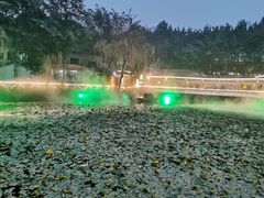 -巴山一绝烤全羊(三圣乡刘家花园店)