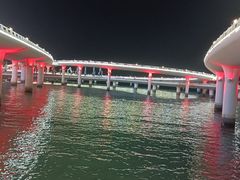 -演武大桥观景平台