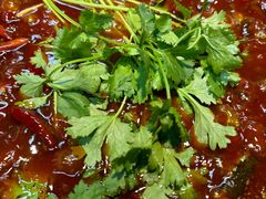 -阳阳老火锅(小南门店)