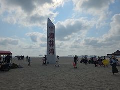 -东郊椰林