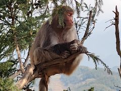 -重庆云阳龙缸景区