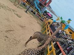 -西霞口神雕山野生动物世界