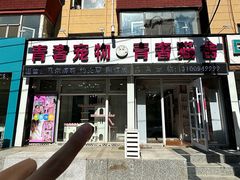 -青奢宠物·青奢猫舍