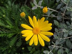 -上海市惠民中学