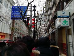 -雷允上(南京西路店)