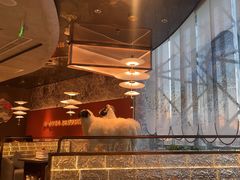-百草滩羊清水涮羊肉·清真·宁夏盐池滩羊(莲花桥店)