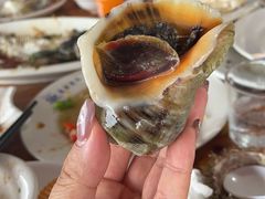 -蓝湾碧波·老字号·疍家非遗海上餐厅