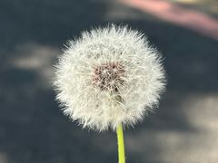 -南京金牛湖风景区