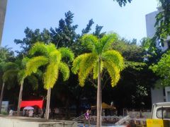 -海南热带海洋学院(三亚校区)