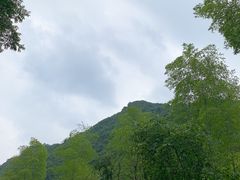 -宁波五龙潭景区