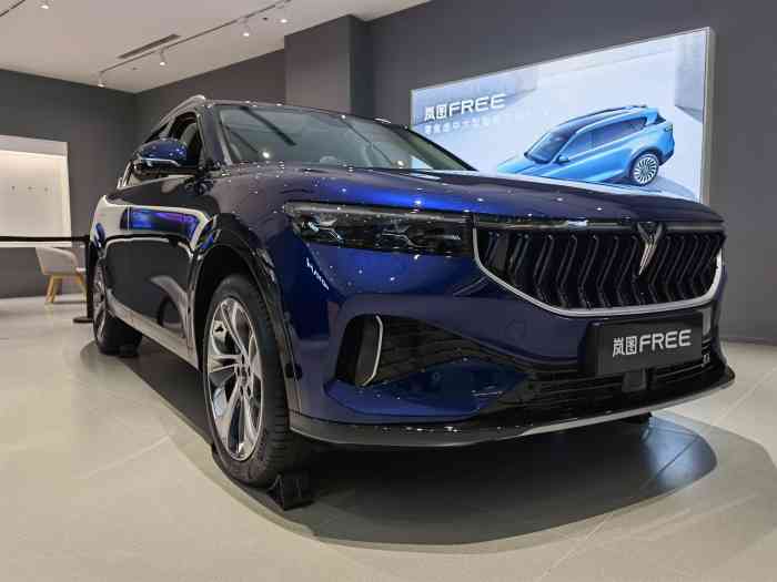 voyah岚图空间(汉街万达广场店)