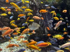 -太平洋海底世界