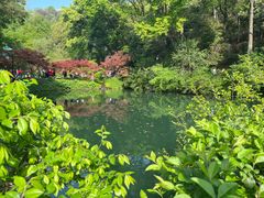-岳麓山风景名胜区