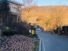 -金石唐风国际温泉会馆