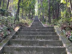 -南山植物园