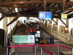 -神户六甲牧场(北野本店)