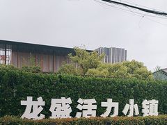 -龙盛活力小镇