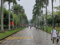 -厦门大学(思明校区)