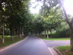 奥林匹克体育中心体育馆-南京奥林匹克体育中心-体育馆