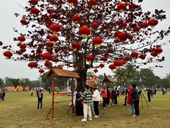 -万绿园