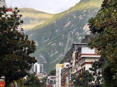 -金鼎雪山牦牛杂火锅(理县总店)