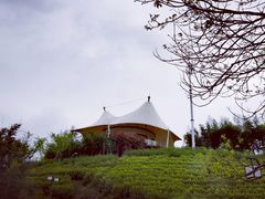 -帐篷客·溪龙茶谷度假酒店