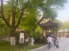 -文瀛公园