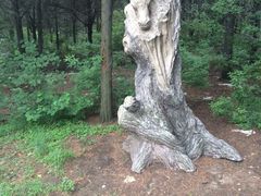 -原山国家森林公园