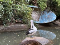 -费瑟代尔野生动物园