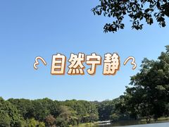 -东莞植物园