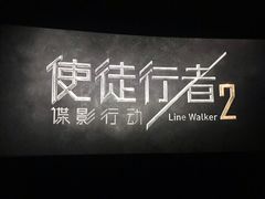 -AMG海上明珠影城(上海环球港RealDCinema店)