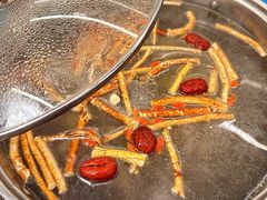 五指毛桃嫩鸡锅-小煵记·打边炉(西丽文光店)