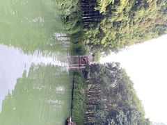 -乌镇东栅景区