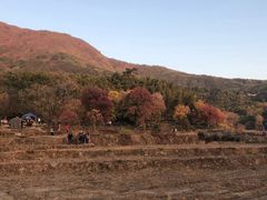 -塔川景区