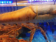 -阿伟海鲜楼·福建菜(延寿店)