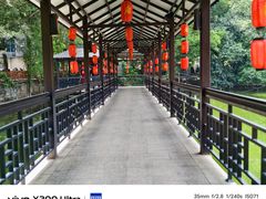 -侨美·唐荔园·40年地道粤菜