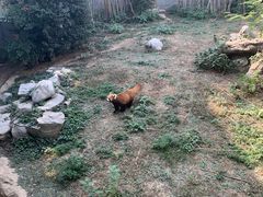 -南昌动物园