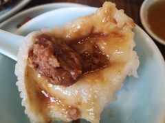 茨毛圆子-双塔老饭店